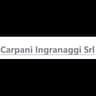 Logo Carpani Ingranaggi Srl