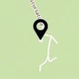 Carto di Stefania Tognin
