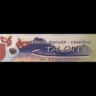 Caseificio Talone