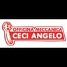 Logo Ceci Car Service