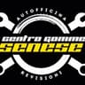 Logo Centro Gomme Senese