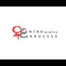 Logo Centro Medico Carrucese