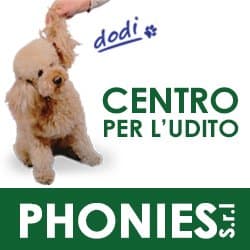 Centro per L'Udito Phonies Srl
