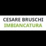 Logo Cesare Bruschi Imbiancatura