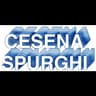 Logo Cesena Spurghi