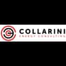 Logo Collarini Energy Consulting