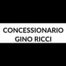 Logo Concessionario Gino Ricci