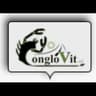 Logo Conglovit S.r.l. Chiavarino