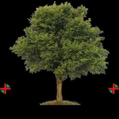 Cooperativa Sociale Olmo