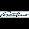 Logo Cosentino Noleggio Bus