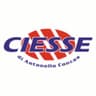 Logo C.S. Infissi