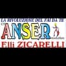 Logo Cv An.Ser. Flli Zicarelli srl