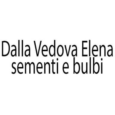 Dalla Vedova Elena