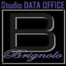 Logo Data Office dei Rag. Walter e Oscar Brignolo
