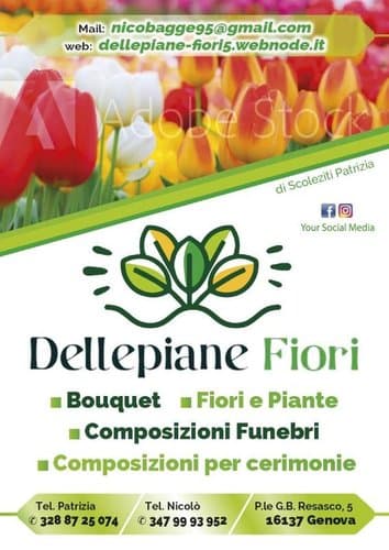 Dellepiane Fiori di Scoleziti Patrizia