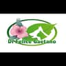 Logo Di Felice Gaetano
