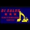 Logo Di Salvo Scavi