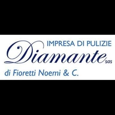 Diamante impresa di pulizie