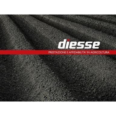 Diesse S.r.l.