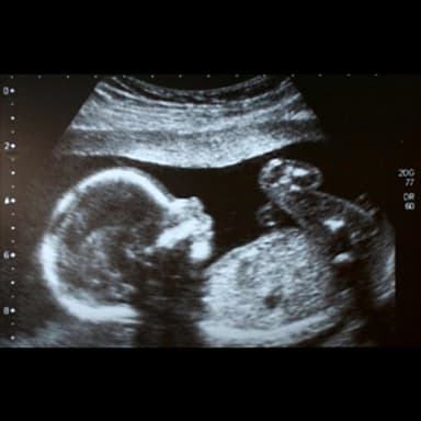 Dr. Salvatore Auditore