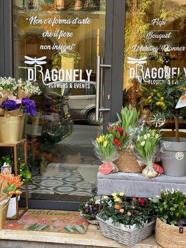 Dragonfly Flowers & Events