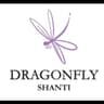 Logo Dragonfly.shanti