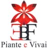 Logo Ebf - Piante e Vivai