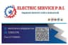 Logo Electric Service P.B.I.