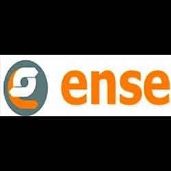Ense Srl