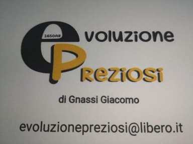 Evoluzione Preziosi di Gnassi Giacomo