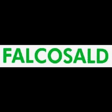 Falcosald di Bortolussi A. & C. Snc
