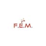 Logo F.E.M. in Liquidazione