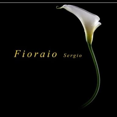 Fioraio Sergio