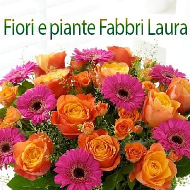 Fiori e Piante