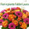 Logo Fiori e Piante