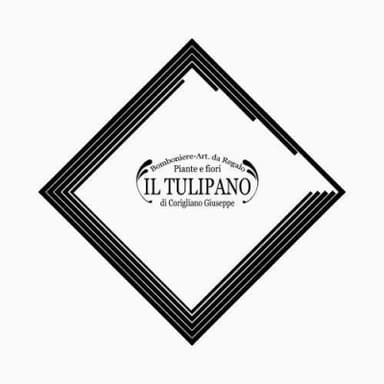 Fiori e Piante Il Tulipano Bomboniere