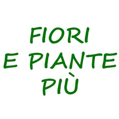 Fiori e Piante Più