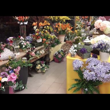 Fiorista E Vivai Pierantoni