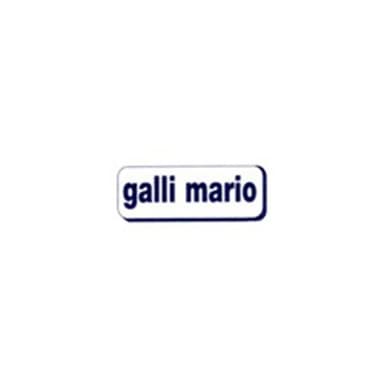 Galli Mario Sas