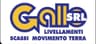 Logo Gallo Srl