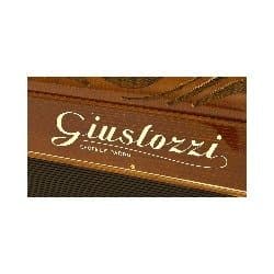 Giustozzi Accordions