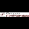 Logo Gruppo Ammendola