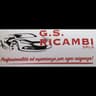 Logo G.S. Ricambi Srls