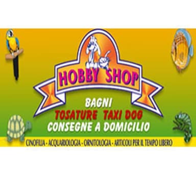 Hobby Shop