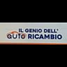 Logo Il Genio Dell’ Autoricambio
