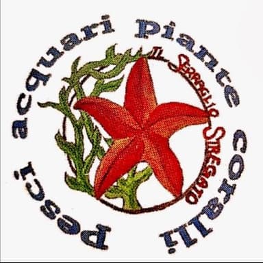 Il Serraglio Stregato