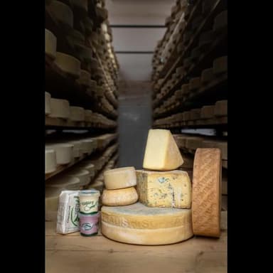 Latteria Pradis di Sopra Snc