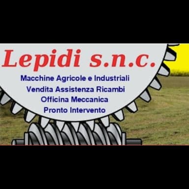 Lepidi Piero Paolo Snc