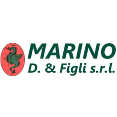 Marino D. e Figli Stasamento Fognature