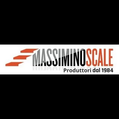 Massimino Scale